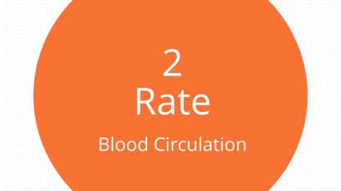 blood circulation
